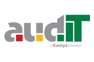 audit